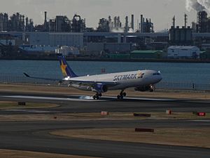 Archivo:A330-300 JA330D Skymark RJTT Landing