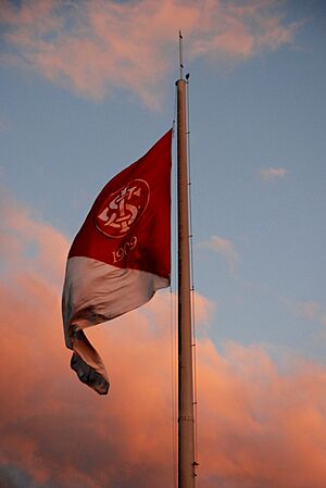 Archivo:Bandeira do Internacional