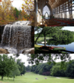 Bella Vista collage