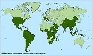 Archivo:CHIK-World-Map-09-17-2019
