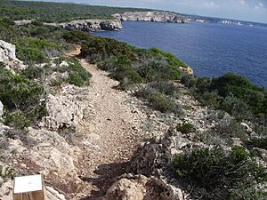 Archivo:Cami de Cavalls - Es Talaier Cala en Turqueta