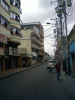 Archivo:Centro de San Juan de los Morros