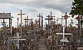 Colina de las Cruces, Lituania, 2012-08-09, DD 10