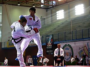 Archivo:Combate itf 2014-02-28 04-16