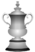 FA Cup.png