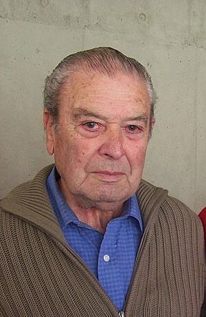 Archivo:Fernando Castillo Velasco en 2004