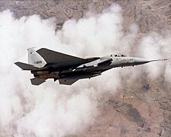 Archivo:First production McDonnell Douglas F-15C in flight