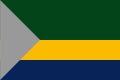 Flag of Medio San Juan (Chocó)