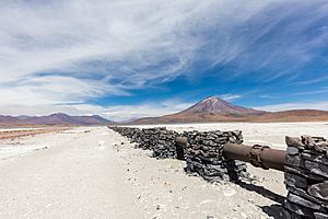 Archivo:Gasoducto junto a la B-145, Chile, 2016-02-09, DD 36