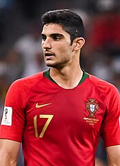 Archivo:Gonçalo Guedes (cropped)