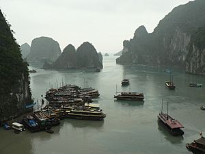 Archivo:Ha Long Bay with boats