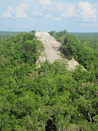 In Calakmul, Mexico (8726963632).jpg