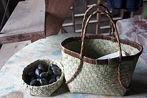 Archivo:Kinab-anan Farm basket