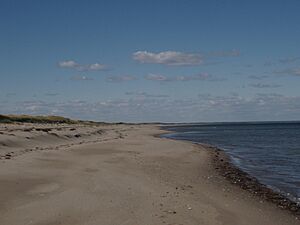 Archivo:Kouchibouguac