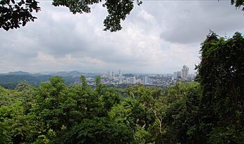 Metropolitan Natural Park, Panama City.jpg