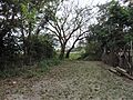 Monte en El Limón, Tamaulipas