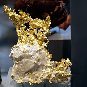 Archivo:Naturkundemuseum Berlin - Gediegen Gold in Quarz, Eagles Nest Mine, Placer County, Kalifornien, USA