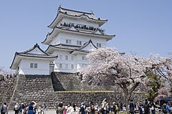 Archivo:Odawara Castle 02