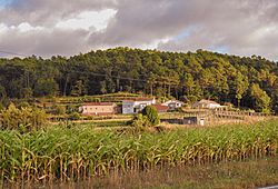 Outeiro, Lousame, A Coruña.jpg