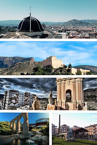 Petrel-collage.jpg
