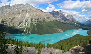 Archivo:Peyto Lake-Banff NP-Canada