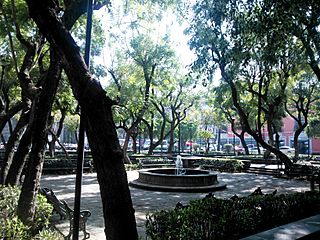 Plaza sta catarina.jpg