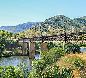 Archivo:Puente internacional del ferrocarril de La Fregeneda (España)