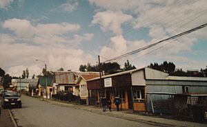 Archivo:Puqueldón1