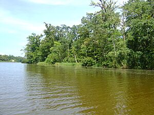 Archivo:Río-San-San,Bocas-del-Toro-Panamá