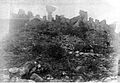 Requesens castell c1893 4
