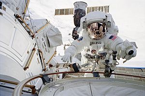 Archivo:STS-113 Herrington EVA