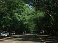 Santa Rita 20120427 613