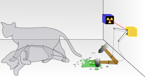Archivo:Schrodingers cat