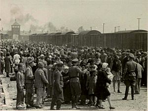 Archivo:Selection on the ramp at Auschwitz-Birkenau, 1944 (Auschwitz Album) 1c