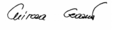 Signature of Mircea Geoană