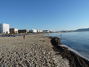 Archivo:Strand von Cala Millor