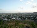 Upatalognview