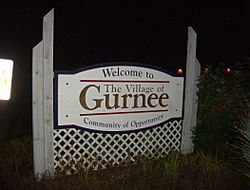 Welcome to gurnee.jpg