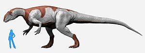 Archivo:Yangchuanosaurus NT small