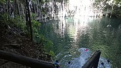 Yokdzonot Cenote by ovedc 08.jpg