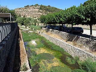 065 El riu Corb a Vallfogona de Riucorb.jpg