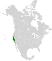 Agelaius tricolor map