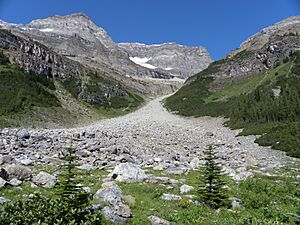 Archivo:AlluvialFanLakeLouiseBC