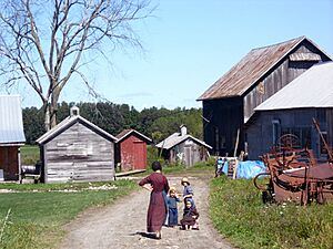 Archivo:Amish farm morristown new york