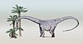 Barosaurus-sketch2