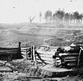 Bermuda Hundred earthworks