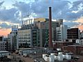 CDC HDR I
