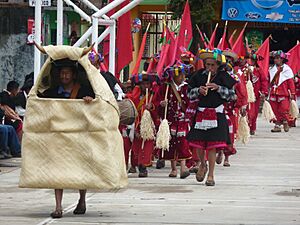 Archivo:Carnavaltenejapa
