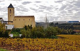 Castell d'Avinyó (Avinyonet del Penedès) - 1.jpg