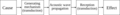 Cause-effect diagram for acoustics